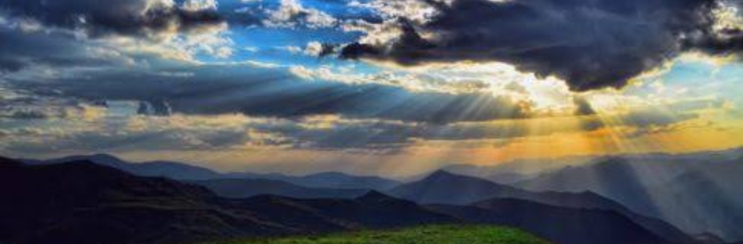 reiponさん(カメラマンアシスタント)のプロフィール | ココナラ