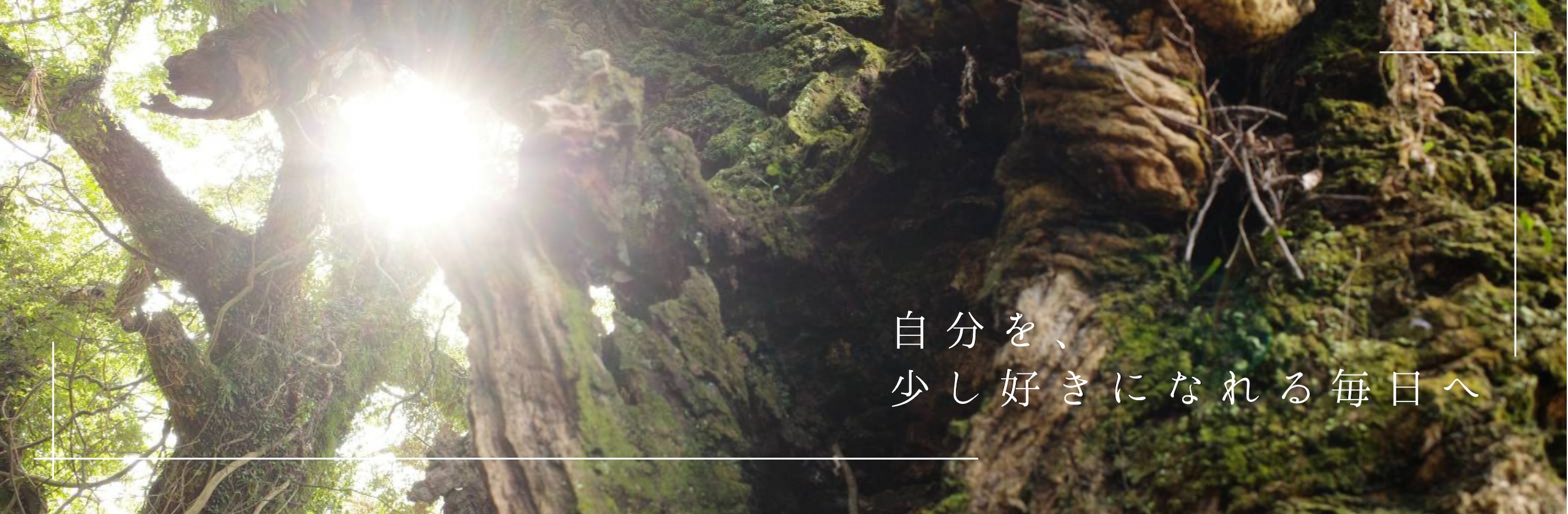 聖(ひじり)☪️電話占いをここでも開始のカバー画像