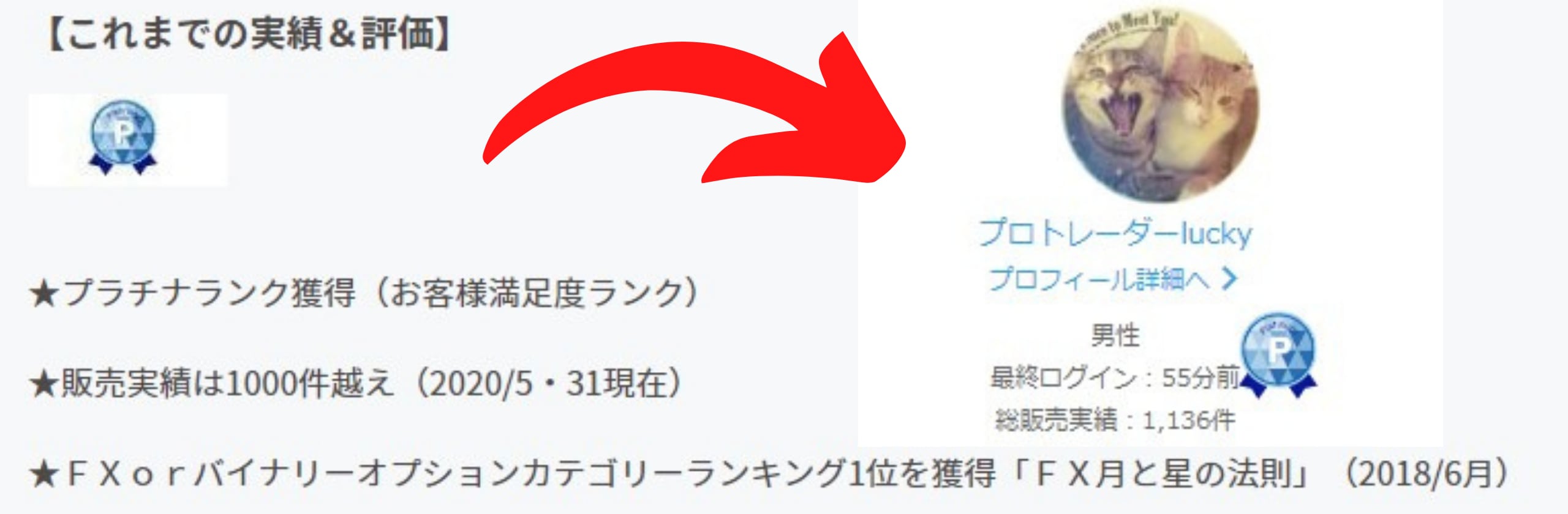 プロトレーダー⭐luckyさん(専業トレーダー)のプロフィール | ココナラ