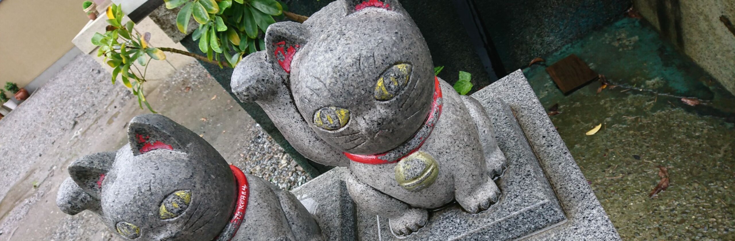 蓮司(れんじ)霊視鑑定師のカバー画像