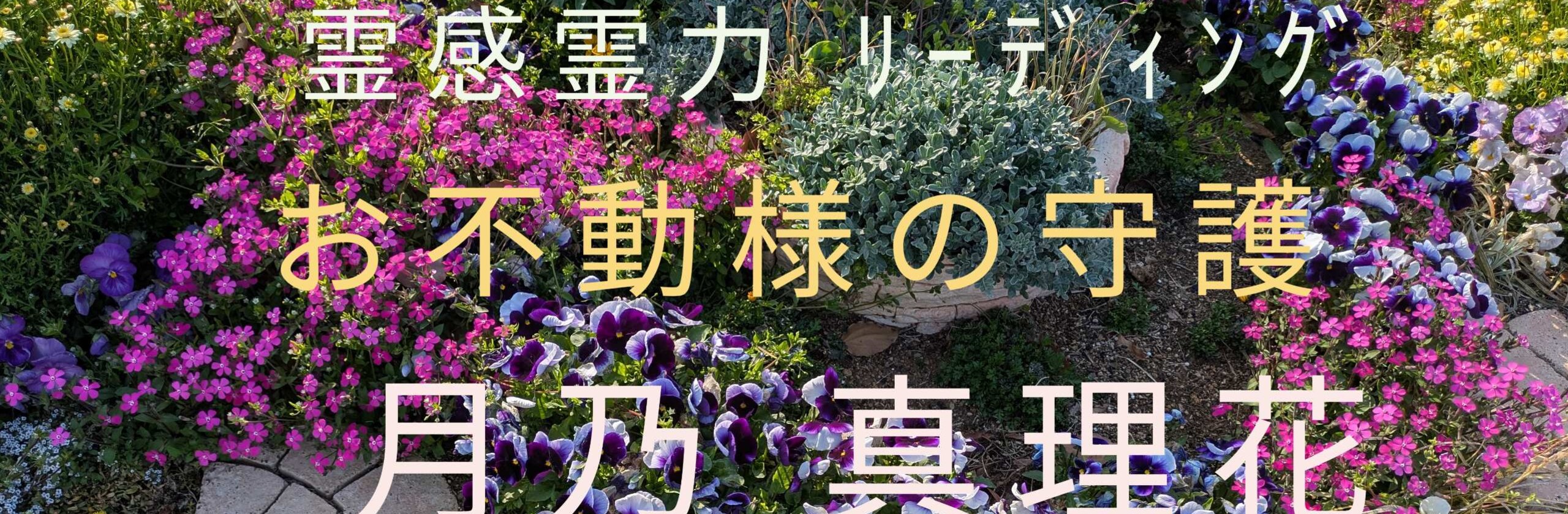 霊視師 月乃 真理花のカバー画像