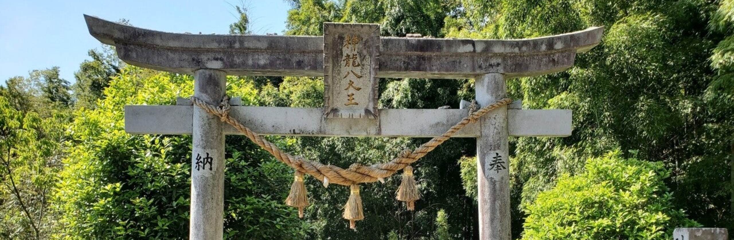 紙園 八大龍王霊視さん(霊視,祈祷師,神事従事)の出品サービス | ココナラ