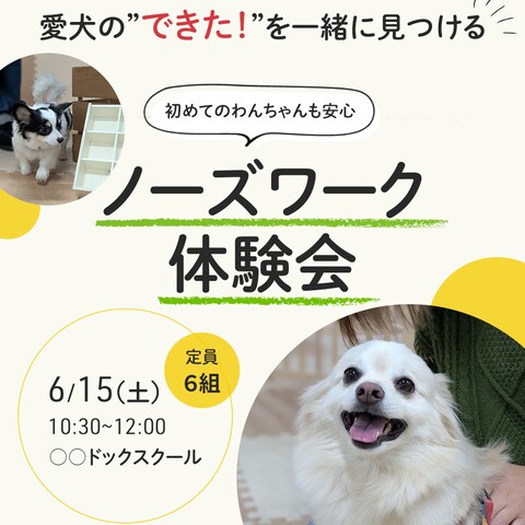 ペットイベント広告バナー｜ノーズワーク体験会