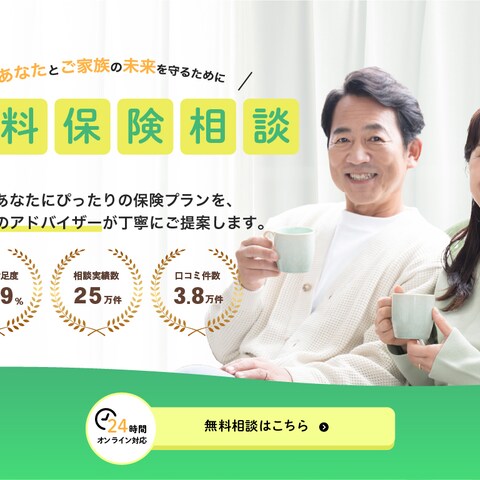 保険会社の広告用LP(FV)