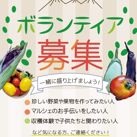 ボランティア募集チラシ