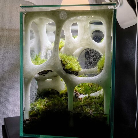 パラメトリックデザインのコケリウム