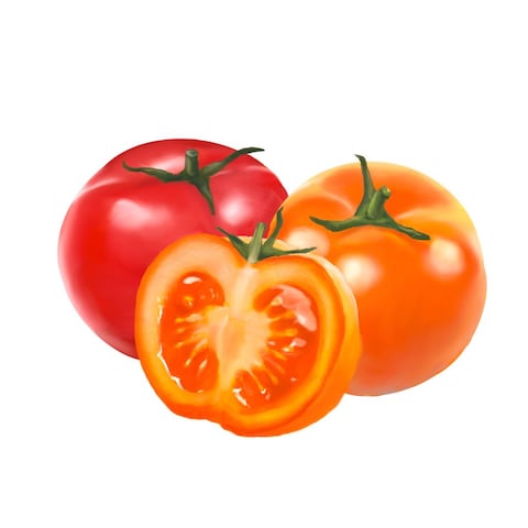 トマト風果実