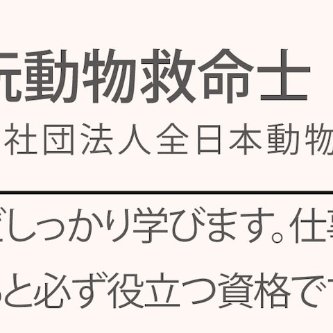 わんちゃん・猫ちゃんの応急処置について