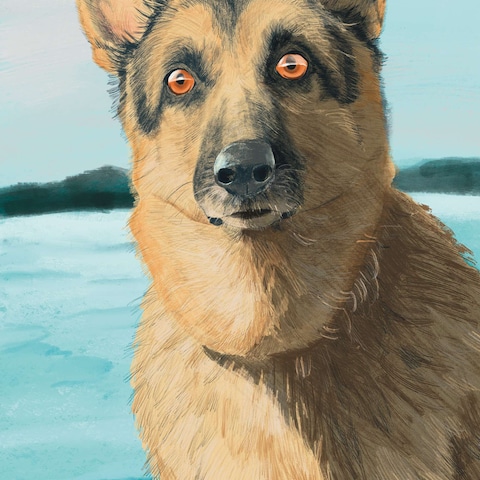 動物イラスト