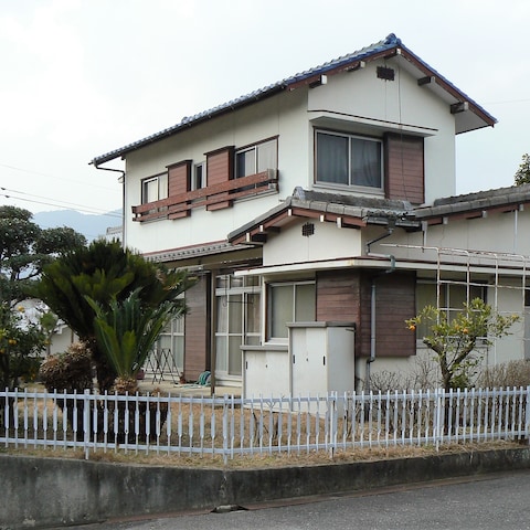 庭木選定+清掃