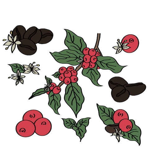 カフェ広告•メニューの挿絵