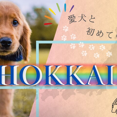 YouTubeサムネイル_愛犬車中泊