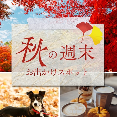 秋のバナー