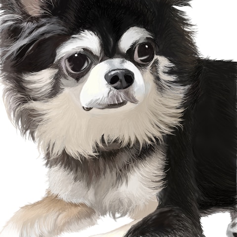 愛犬を描いたものです。