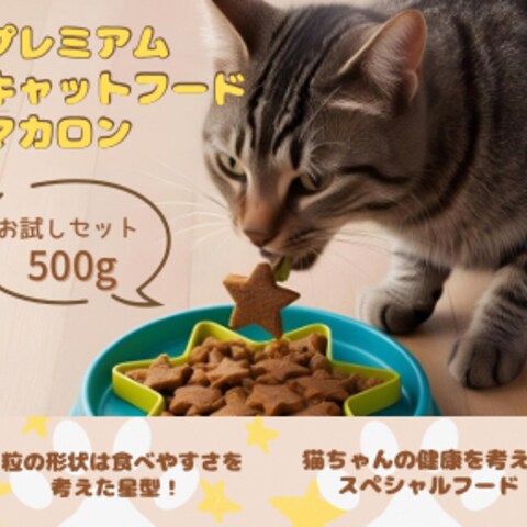 キャットフード案件