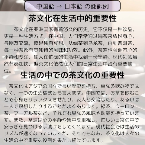 中国語 → 日本語 の翻訳例