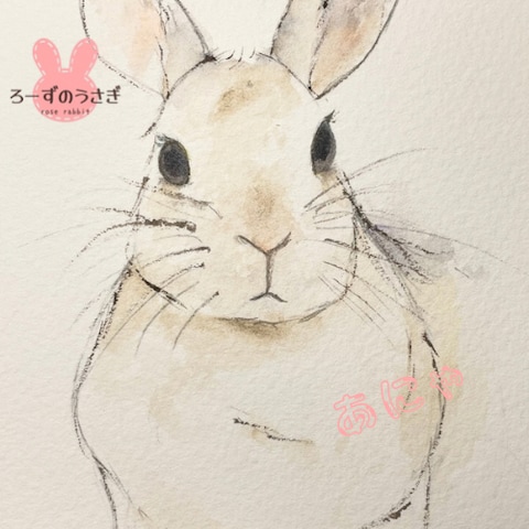 【うちのこ強化月間】うさ友さんの愛うささん