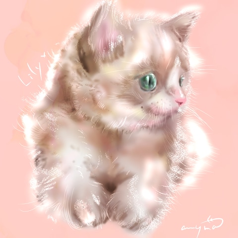 猫