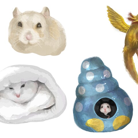 ペットイラスト制作