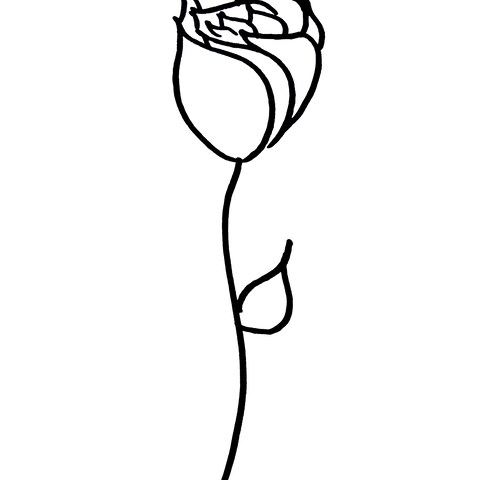 バラのイラスト