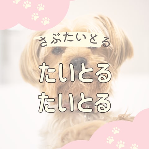 Instagramフィード投稿