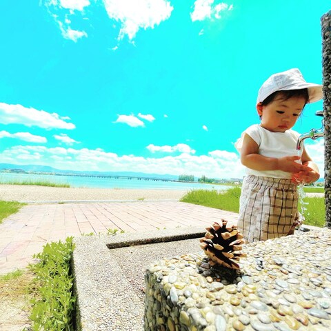 常夏と松ぼっくりと水の音