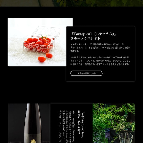 ECサイトの制作