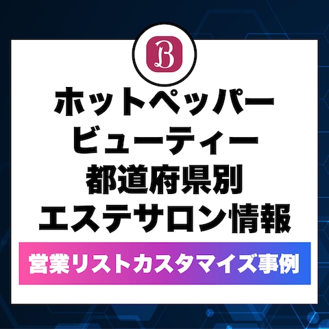 営業リストカスタマイズ事例