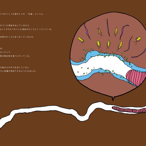 東京大学農学部とのコラボ作品　土の中の世界　イラスト