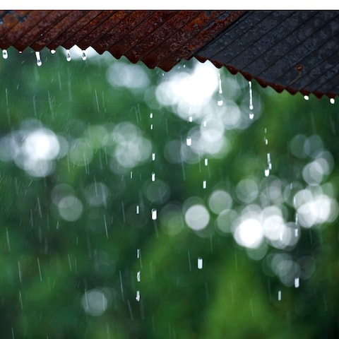 雨宿り