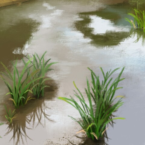 デジタル背景　菖蒲池