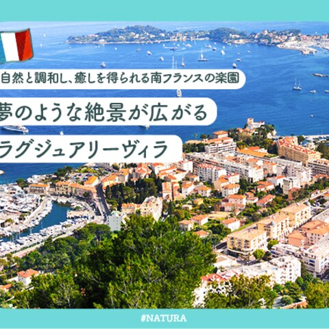 フランスの広告