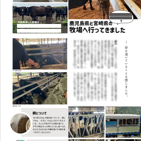 広報誌内デザイン