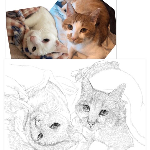 超写実ペット肖像画、犬・猫さんをお描きいたします