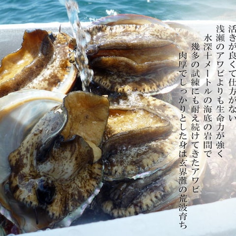 生産者の気持ちを伝える画像処理