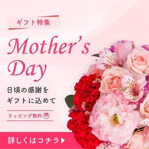 Banner｜Mother's Day