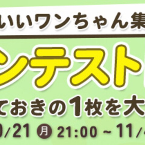 Banner｜フォトコンテスト