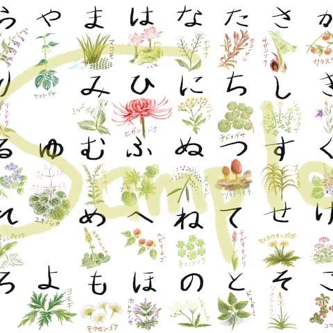 野草のあいうえお表