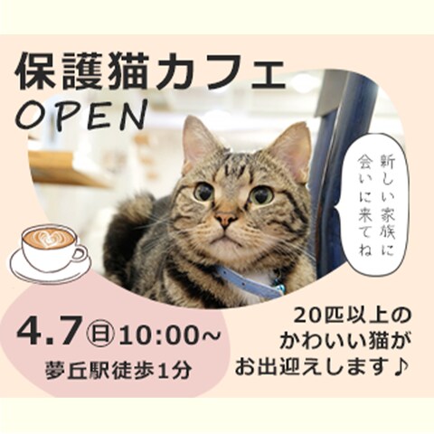 バナー制作