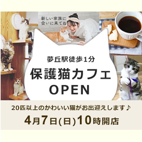 バナー制作