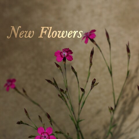 「New Flowers」のアートワーク