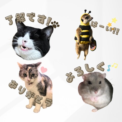 LINEスタンプ　シンプルデザイン背景なし