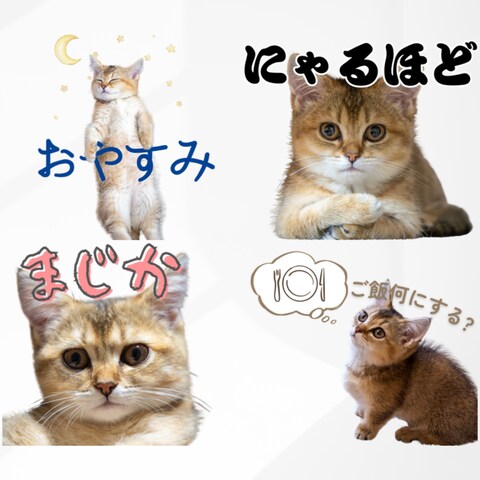 LINEスタンプ　カラフルデザイン