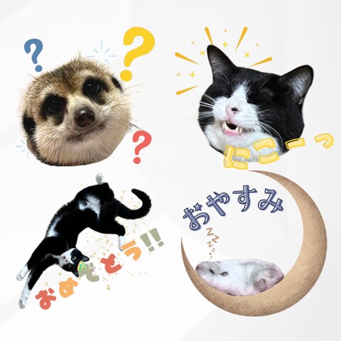 LINEスタンプ　カラフルデザイン