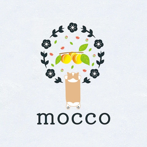 mocco