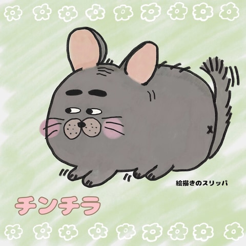 チンチラ