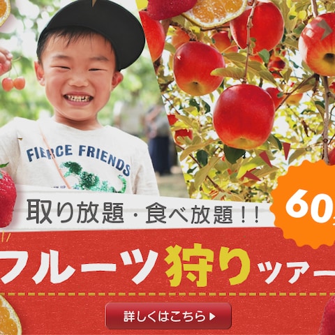 フルーツ狩りツアー　バナー