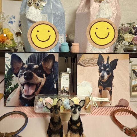 羊毛でうちの子作りませんか