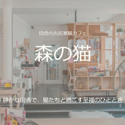 猫カフェのホームページサイト