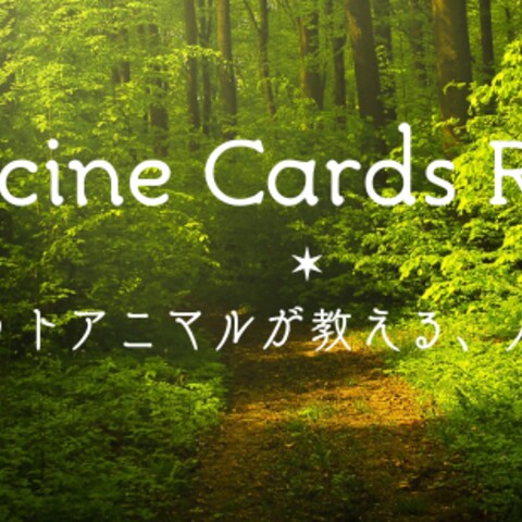 スピリットアニマルが導くメディスンカード占い